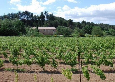مبيت وإفطار Mailhac Domaine De "Creva-Tinas" المظهر الخارجي الصورة