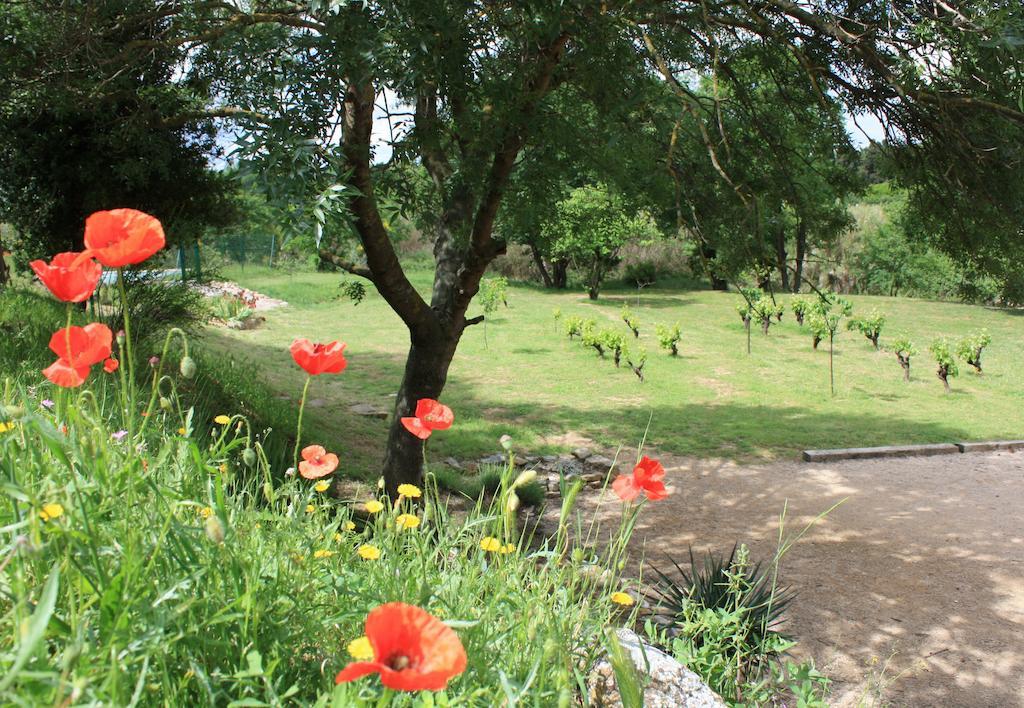 مبيت وإفطار Mailhac Domaine De "Creva-Tinas" المظهر الخارجي الصورة